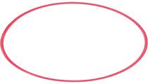 Olympus POL-050 O-Ring