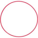 Olympus POL-EP01 O-Ring