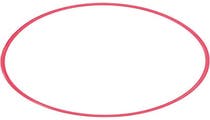 Olympus POL-054 O-Ring for PT-054 Underwater Housing