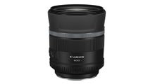Canon RF 600mm f11 IS STM Lens