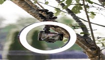 Joby Beamo LED Ring Light 12"