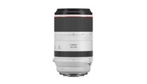 Canon RF 100-500mm f4.5-7.1L IS USM Lens