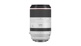 Canon RF 100-500mm f4.5-7.1L IS USM Lens