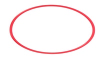 Olympus POL-E301 O-Ring for PPO-EP01 Lens Port