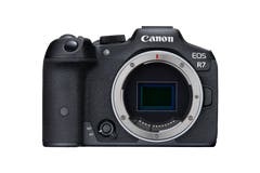 Canon EOS R7 Body Mirrorless Camera
