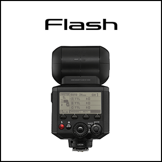 FujiFilm Flash