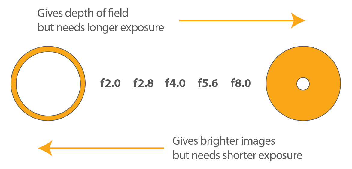 Apertures & DOF