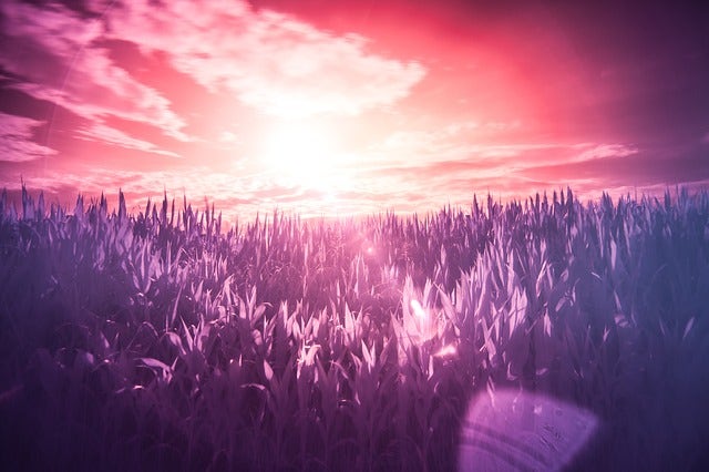 Sunset captured using an infrared filter