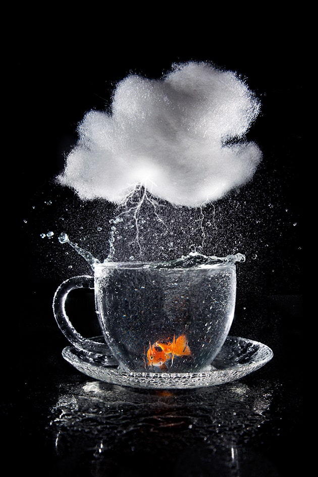 Alison Crea reveals her photographic journey