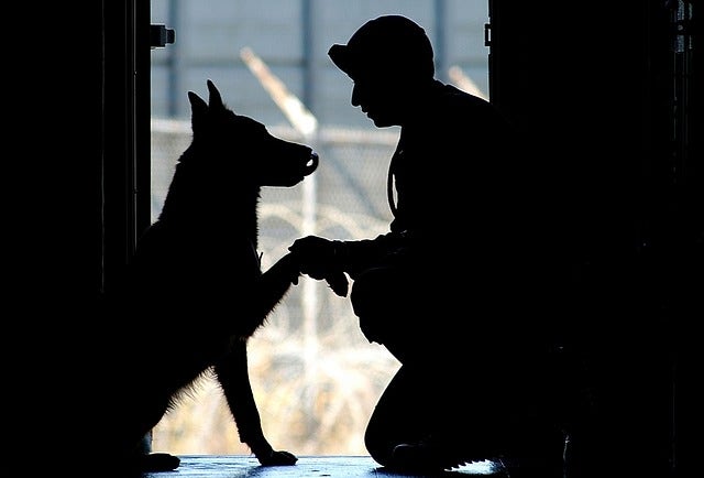 man and dog framed in doorway