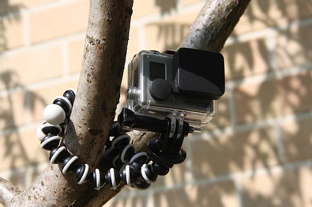 Go Pro mounted on a tree