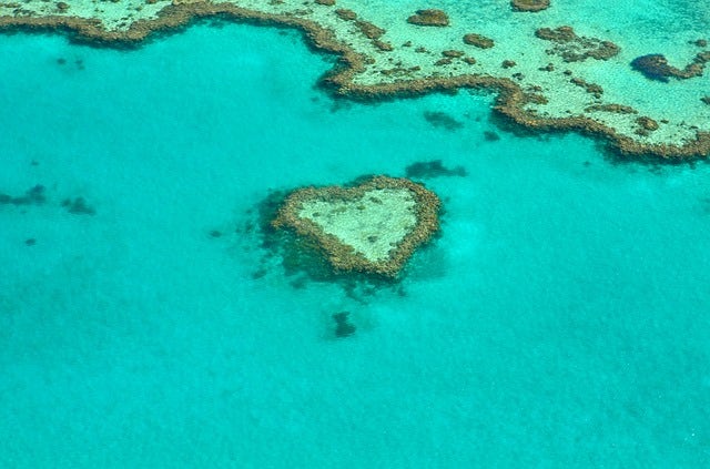 The Great Barrier Reef