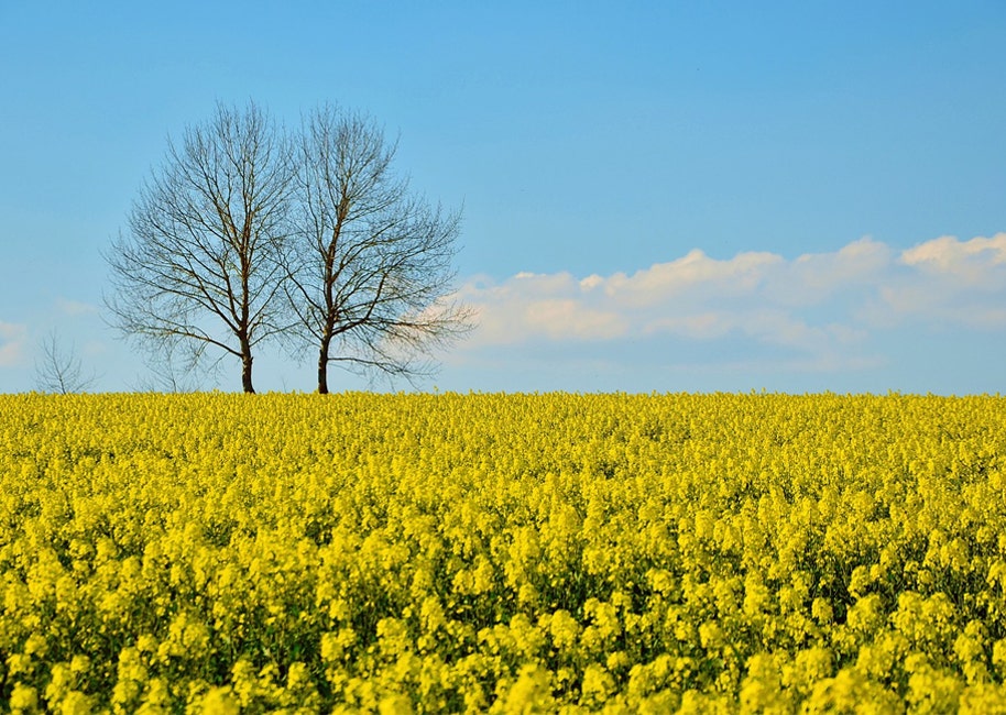 Beware the Summer Sun: Tips for Taking Photos in Direct Sunlight