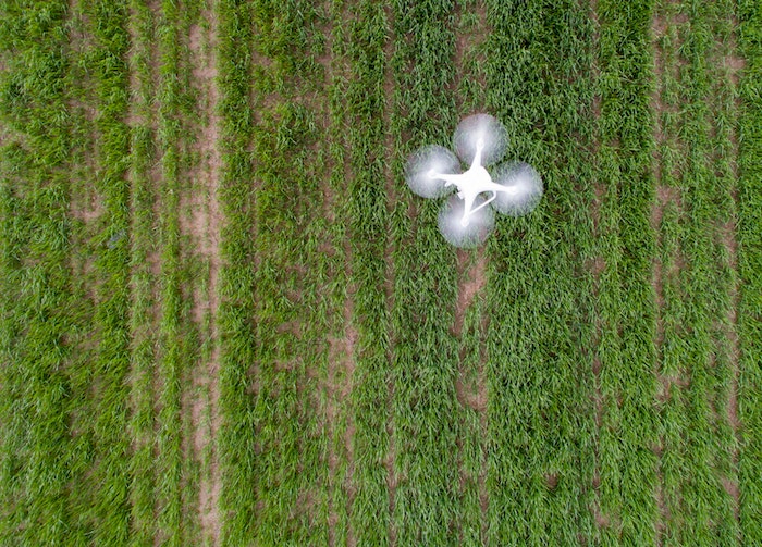 drone-flies-across-field-birds-eye-view