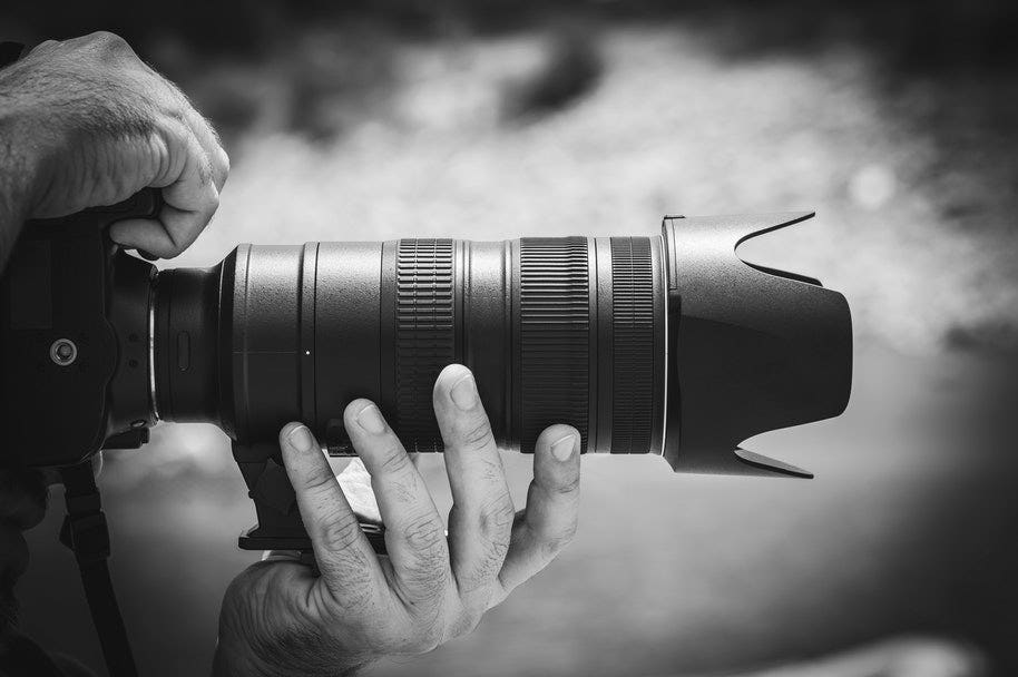 telephoto lens for wildlife photography