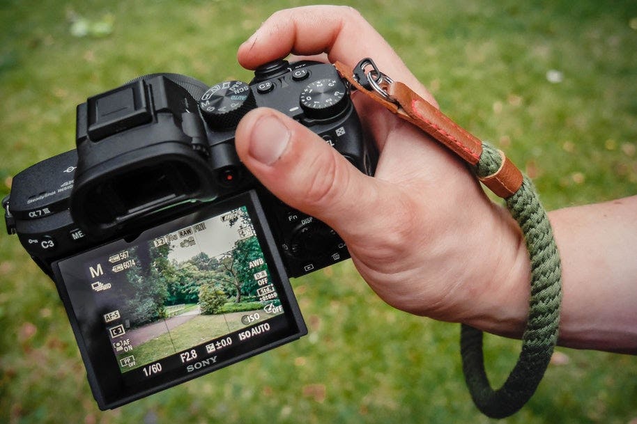 electronic display on sony mirrorless camera