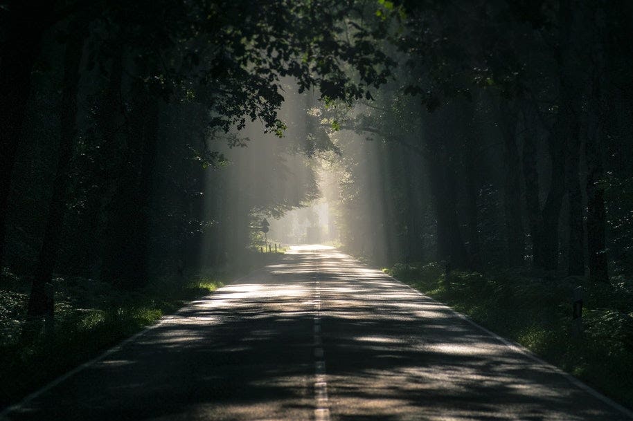 rays of sunlight shining through trees onto road