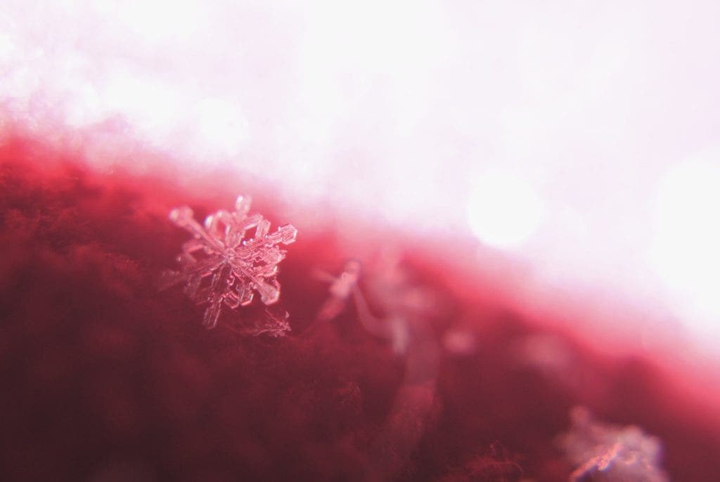 an extreme close up of a snowflake