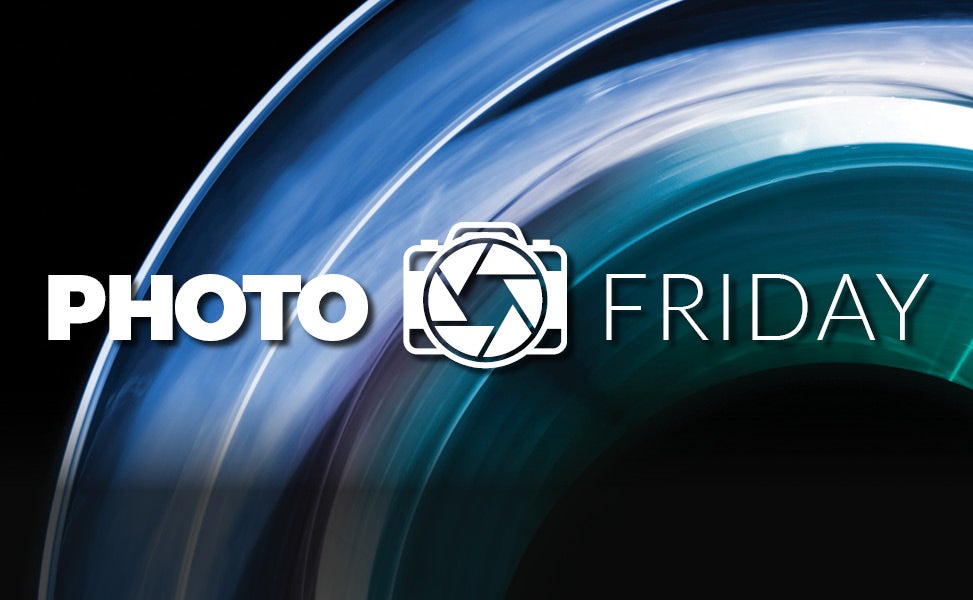 Camera House Photo Friday Competition