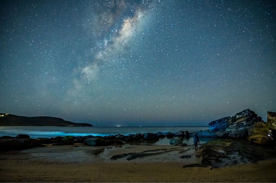 Explore Australia’s Night Sky this Spring with Celestron: Top Stargazing Spots and Essential Viewing Tips