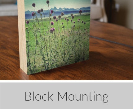 Block Mounting